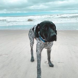 Meet your Posher, Mac